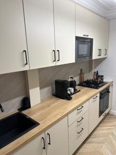 Central Apartment Luxury Suceava - 5