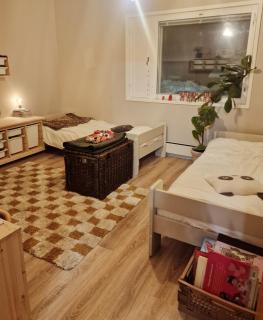 Drive & stay arctic Villa with car, sauna and hot tube -  - 1