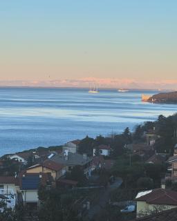 Trieste Sea Life - Triest - 3