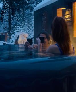 The FISH HAUS A Montana Tiny Cabin Forest Retreat - 5