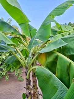 JB Beachfront Cottage - 5