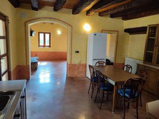 Entire House with fireplace and private forest - 3