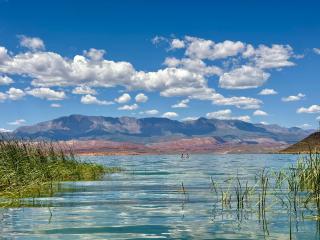 Paseos 1433 Beautiful New Home, Private Swim Spa and Hot tub, BBQ Grill, and Foosball - 7