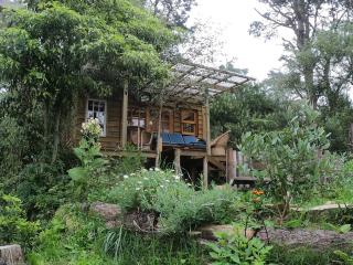 The ideal place to disconnect - 1