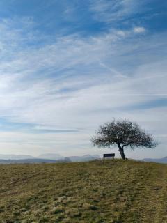 Hatablak Köveskál - 8