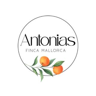 Finca con piscina Es Baladre - 7