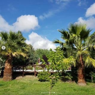 Cabañas El Regreso - San Rafael - 3