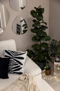 AlexandraDesignSuite -Eleganza a due passi dal centro - 7