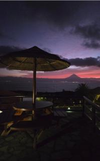 Lucy's Rosegarden - 9