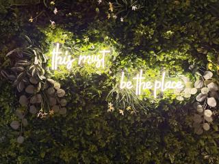 Beautiful 2 BD DT - Deep Ellum - Lower Greenville - 0