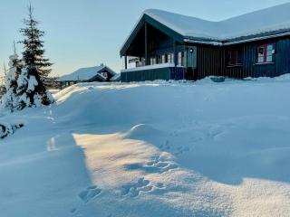 Cosy Cabin By Golsfjellet Ski Resort - 0