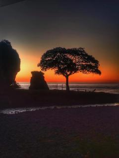 Sea Garden Mizata - 2