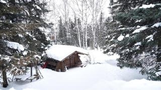 New-Game Room-Nearby Lake-Airport-Family-Bear Haus - 9
