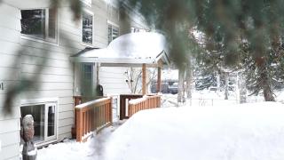 New-Game Room-Nearby Lake-Airport-Family-Bear Haus - 3