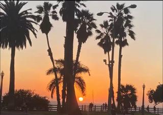 Cozy Beach Haven - 6