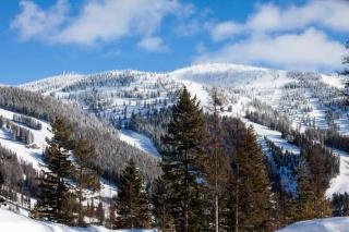 Chalet Chic! Lake and Ski Access Nearby Fish Pond - 0