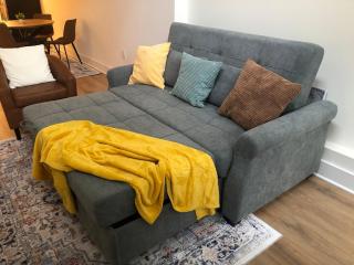 Mt Pleasant Retreat - Entire Brand New Apt in NW DC - Walk to Zoo, Adams Morgan, Dog Friendly - Washington - 6