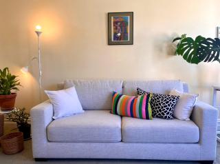 FERNS Central New Plymouth, close walk to City and Coastal Walk Way - 5