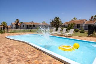 The African Reef - 2