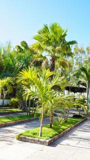 Casa Camboa - Barrinha - Praia do Preá - 3