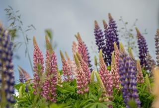 Mountain View Barn with Spa - 3
