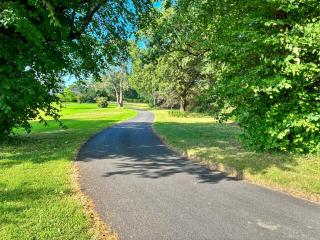 Bumblebee Cottage - Uk49210 - 1