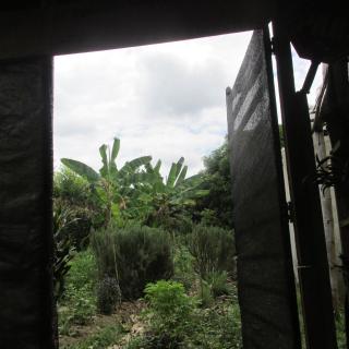 Melao Hostel Campestre y Vivero - 4