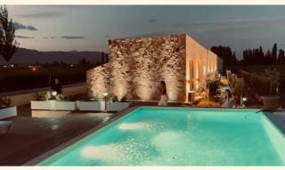 Nativo Malbec - Luján de Cuyo - 8