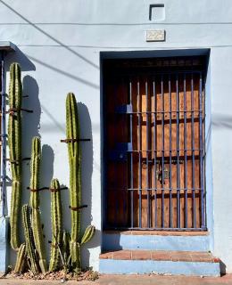 Casa Azul Tropical House by Xarm Apartments - 6