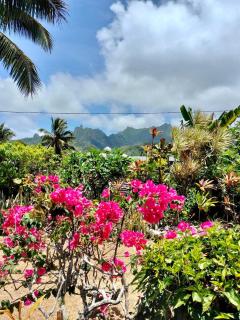 Herons Reef Holiday Apartments - 9