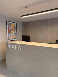 Aurea 311 by Viva Hospedagens - 9