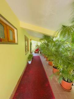 Whitelily's Amrithasthanam - Madikeri - 0