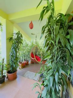 Whitelily's Amrithasthanam - 8