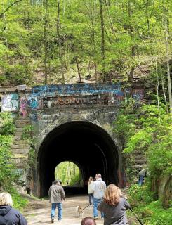 Romantic King Bed, Heart Shaped Hot Tub, Fire Pit - 8