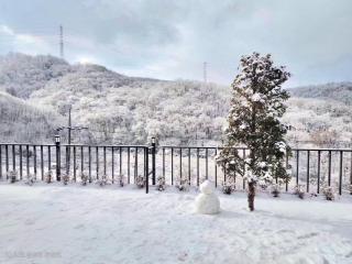 Yeoncheon Pori House Dog Pension - 6