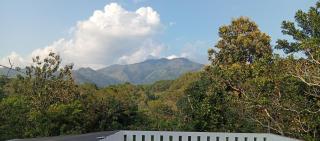 Golden Villa Ella - 9