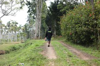 Aquatica by bough'n villa - 4