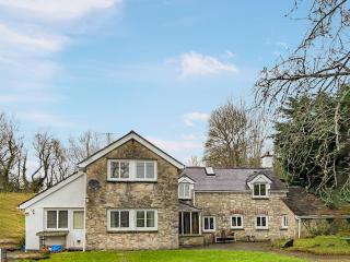 Tyn Y Celyn - Uk48801 - 5