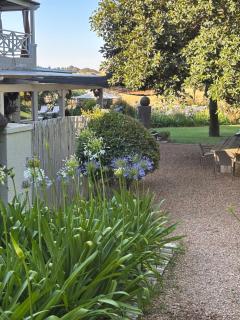 In the Vine Country Manor Guesthouse - 6