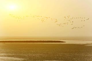 Ferienlandhaus Tossens - 6