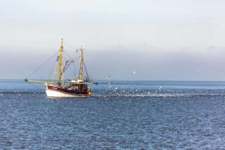 Ferienlandhaus Tossens - 8