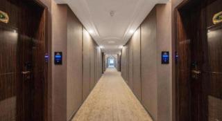 Vienna Classic Hotel Fujian Nanjing - 6