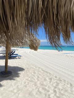 Movida Inn Aruba - 6