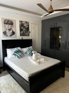 Cozy 1Br apartment - 3