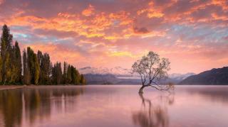 Mt Aspiring Suite - Near Roys Peak - 9