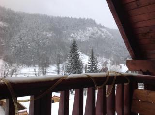 Vila Ianis Bran - Bran - 9