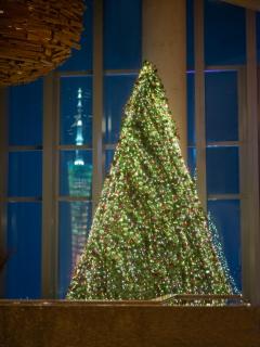 Park Hyatt Guangzhou - 9