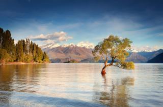 Mt Aspiring Home - 9