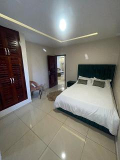 Luxury Apartment - Douala - 3