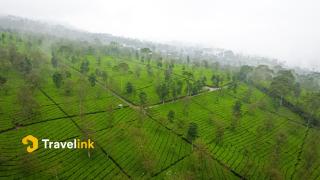 The Lakebox Menjer by Travelink - 1